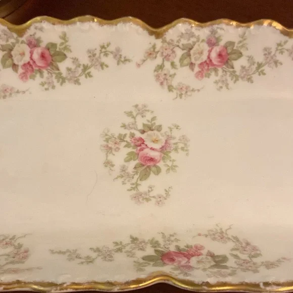 Vintage Limoges France celery platter dish